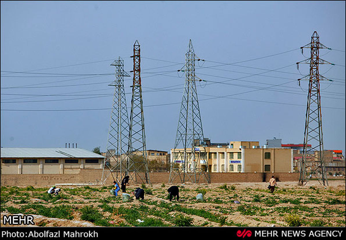 سرطان گرانترین بیماری