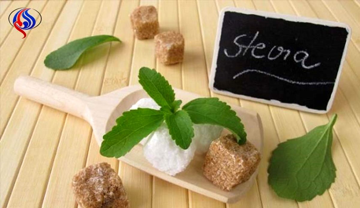 گیاهی برای ترک آسان سیگار