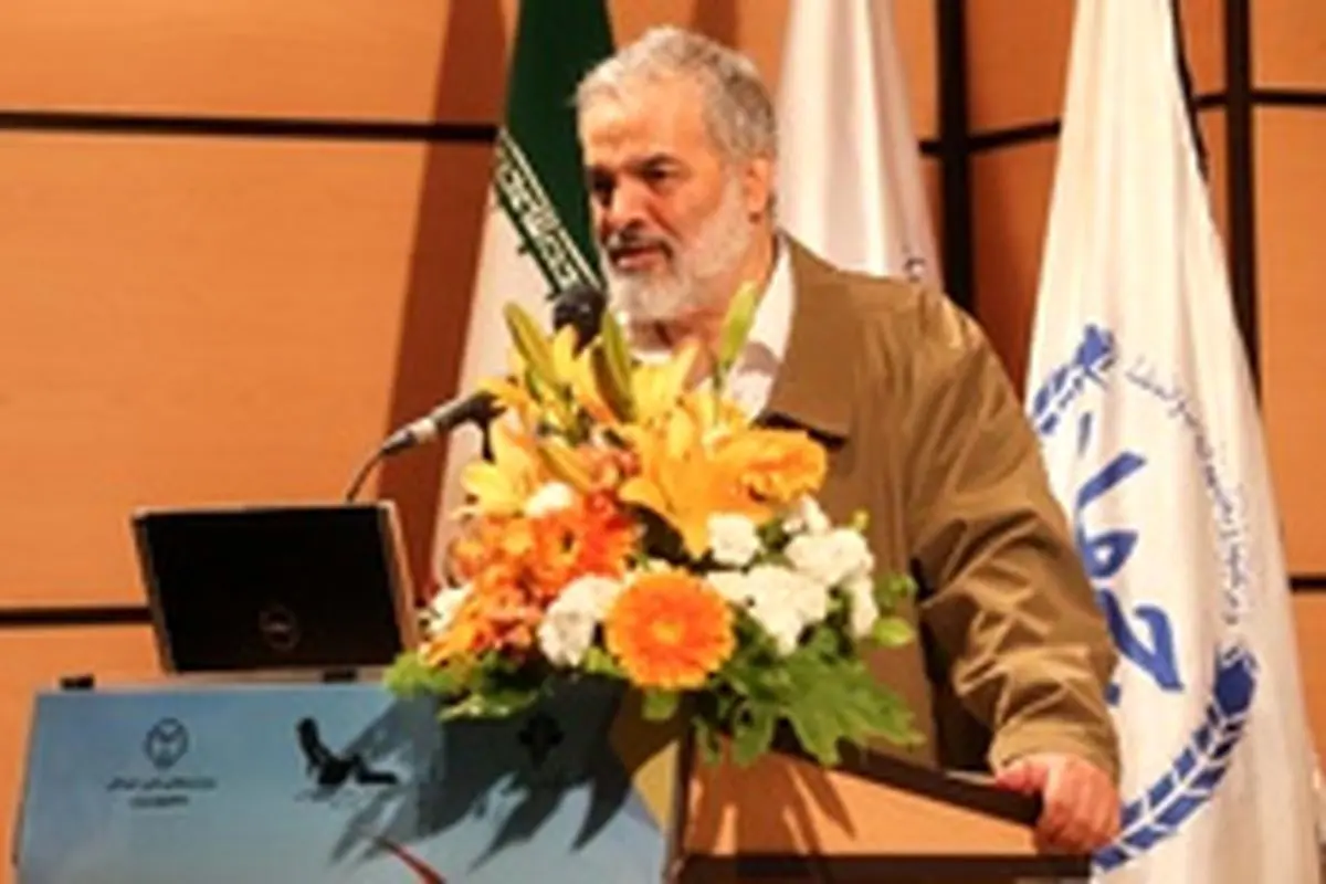 یارانه‌ی بنزین روزانه معادل یک تن طلا