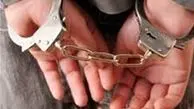 رئیس محیط زیست شمیرانات دستگیر شده است 