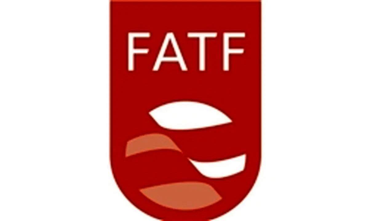 نباید زیر بار حرف زور در قرارداد FATF رفت