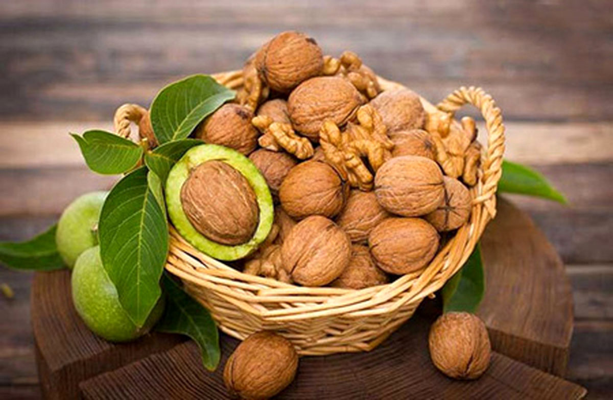 کنترل استرس با مصرف گردو + خواص روغن گردو