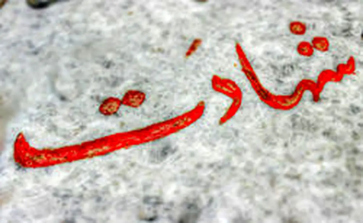 نامه «سیدعلی» به مادر شهید: دعا کن شهید شوم!