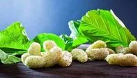  توت خشک را جایگزین قند کنید