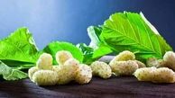 توت خشک را جایگزین قند کنید