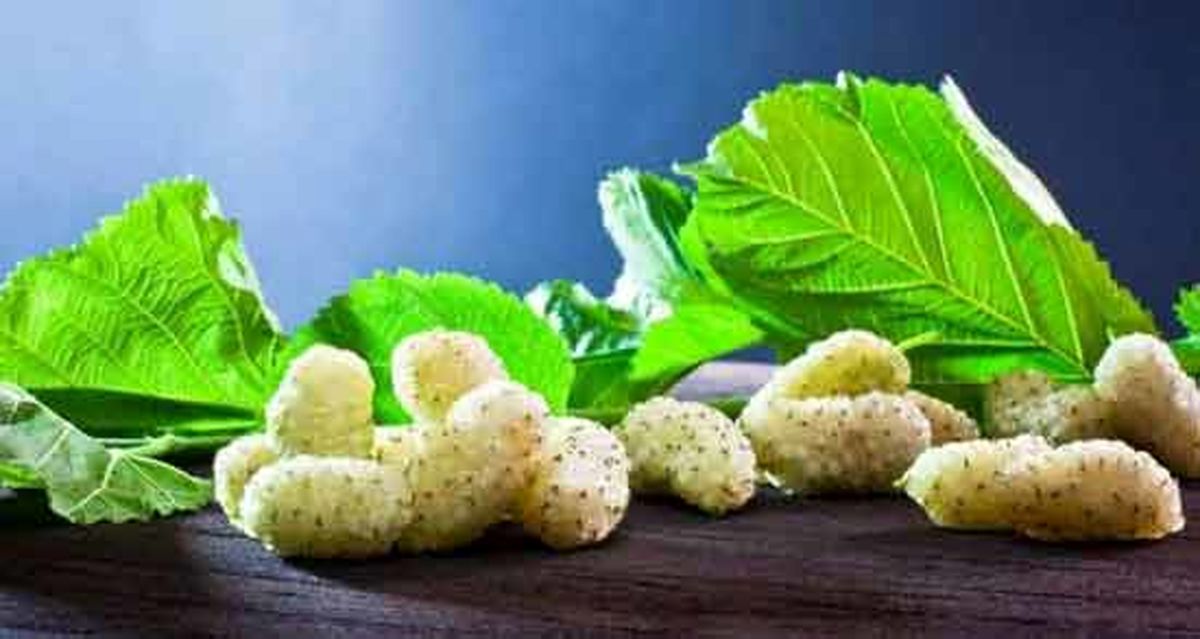  توت خشک را جایگزین قند کنید