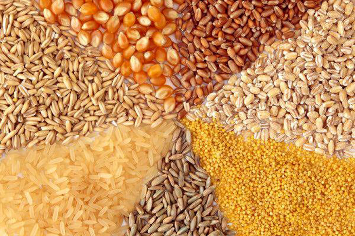 جدیدترین نرخ نهاده‌های دامی و کشاورزی در بازار+ جدول 