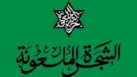 تلاش برای راه‌اندازی چند موسسه فرهنگی سعودی در سیستان- بلوچستان و خوزستان
