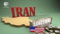 خرگوش هایی که با صدای تفنگ از خواب میپرن