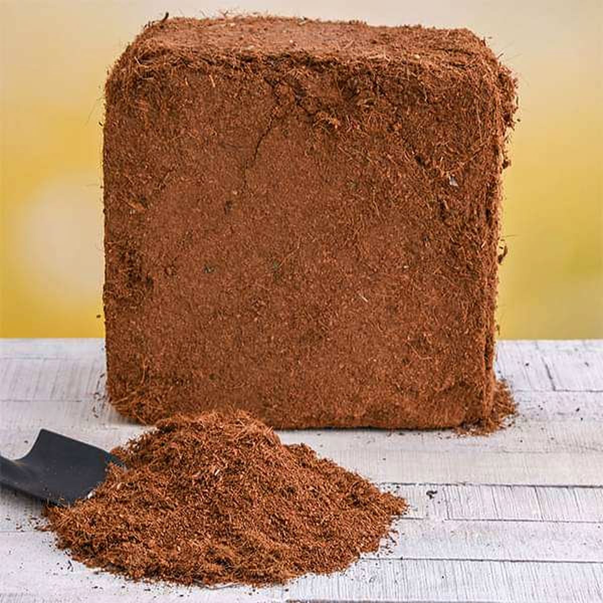 راز ایجاد باغ های پر رونق را با بیوکاشت باز کنید!