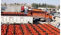 عراق هم ۳ محصول ایرانی را نپذیرفت !