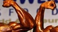 سلطانی مدیرفنی تیم ملی پروش اندام شد