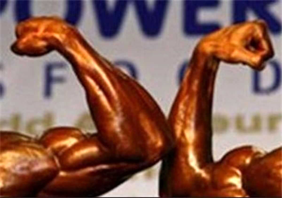 سلطانی مدیرفنی تیم ملی پروش اندام شد