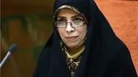 امین زاده:  یک ستاد حقوق بشری در قوه قضاییه داریم