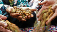 ماجرای مرگ مشکوک مادر یک روزنامه نگار