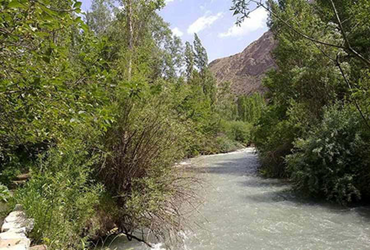 فریاد های شبانه از عمق جنگل سربرج مشهد