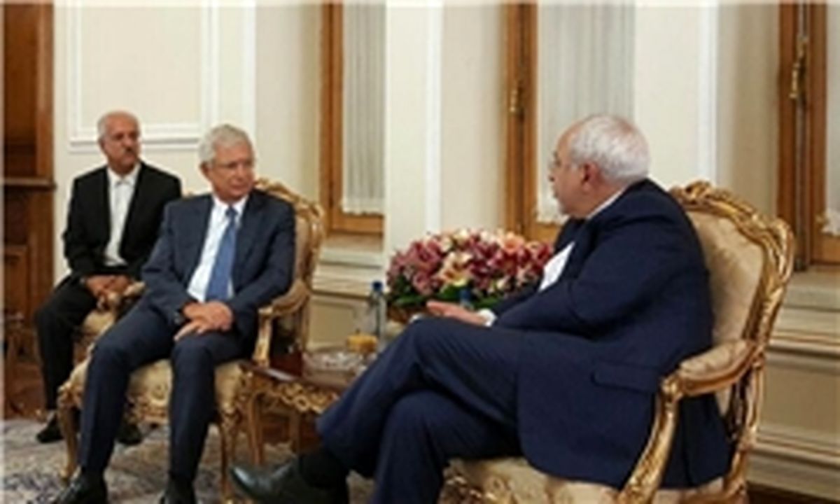 ظریف: آماده رایزنی بیشتر با پاریس درباره سوریه هستیم