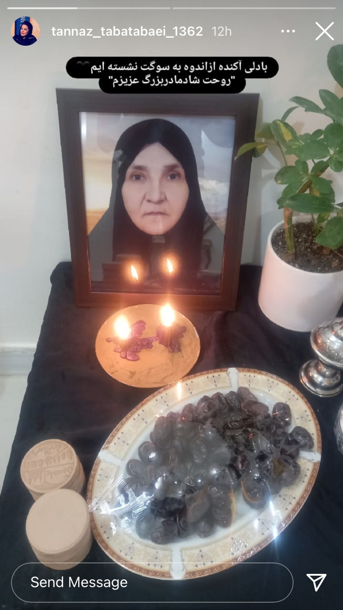 طناز طباطبایی داغدار شد + عکس