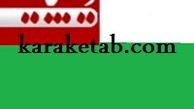 بازتاب وقایع تاریخ معاصر ایران ،مکمل دیپلماسی رسمی کشور