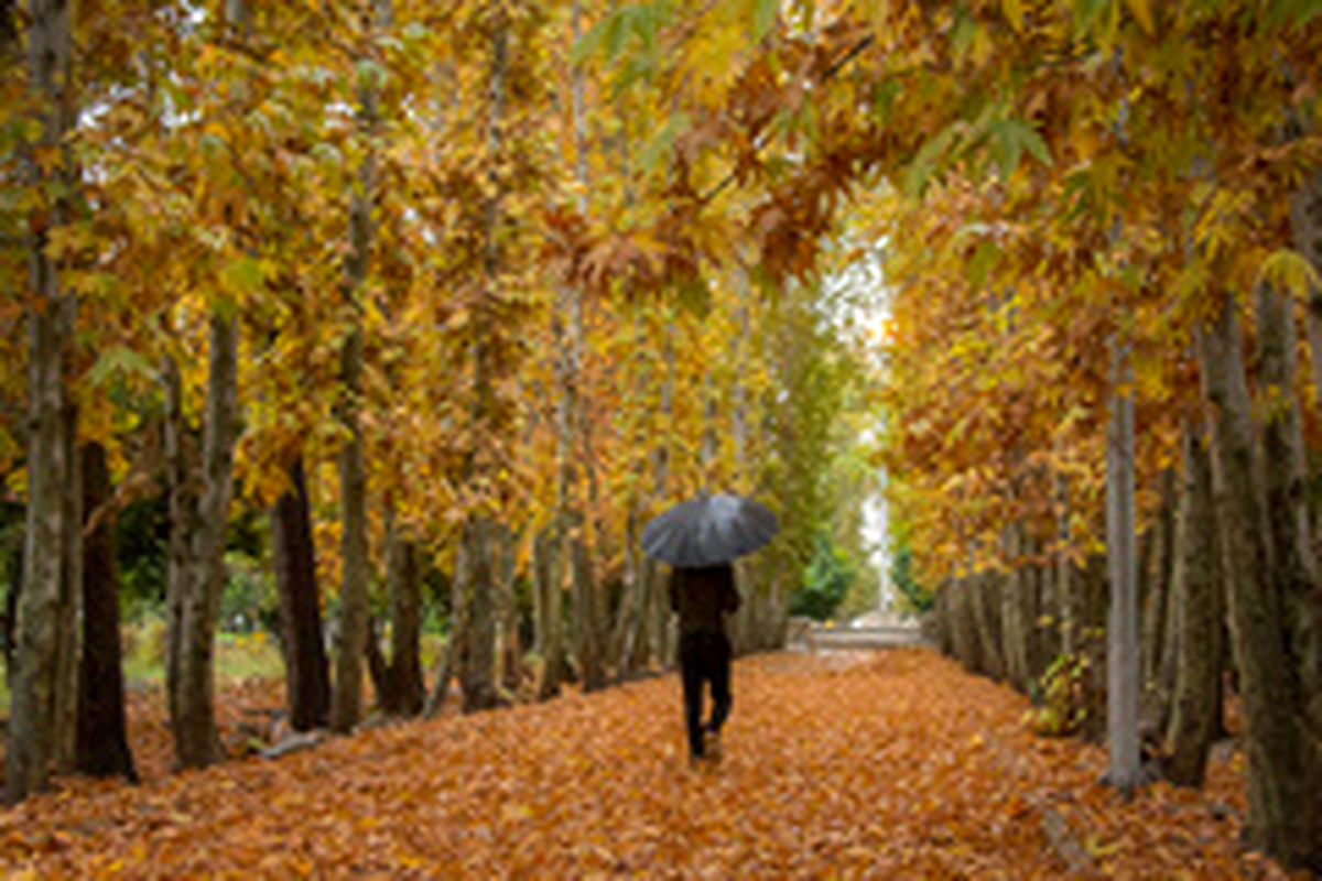 افسردگی پاییزی را جدی بگیریم