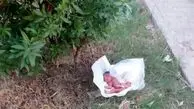 حراج فرزندان در خیابان‌های شهر +عکس