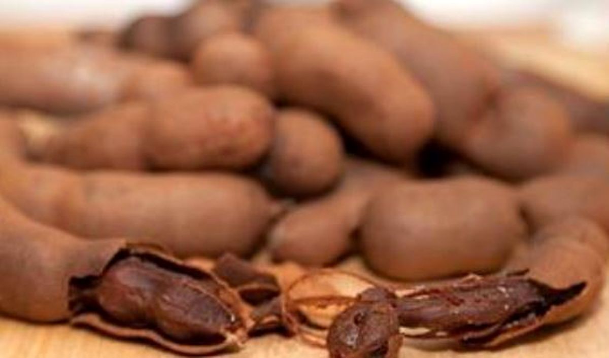 خواص تمر هندی در پیشگیری از دیابت و آرتروز
