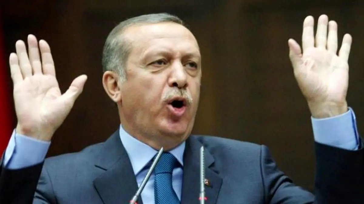 اردوغان: با البرادعی مذاکره نمیکنم