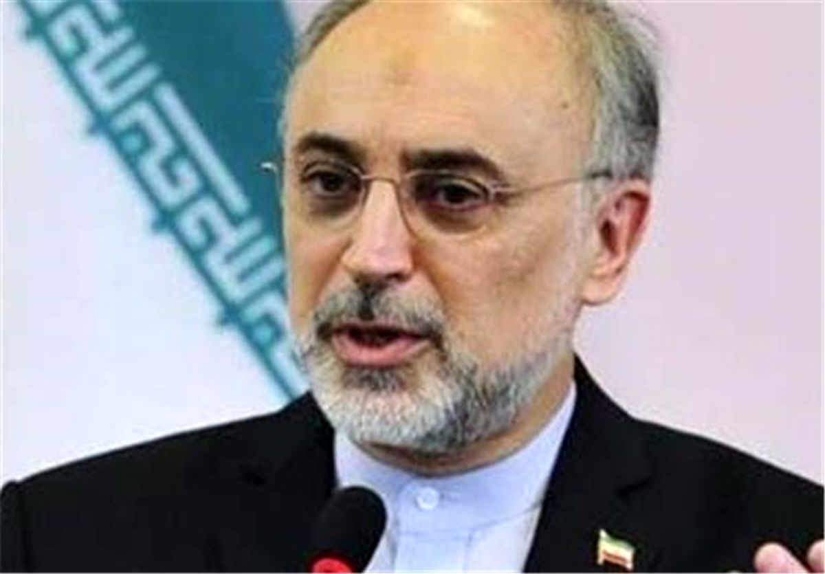 صالحی: رهبر انقلاب شخصا شرایط توافق هسته‌ای را تعیین کردند