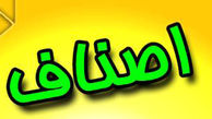 اصناف یا صنف چیست؟