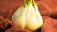 سیری که جوانه زده را دور نریزید