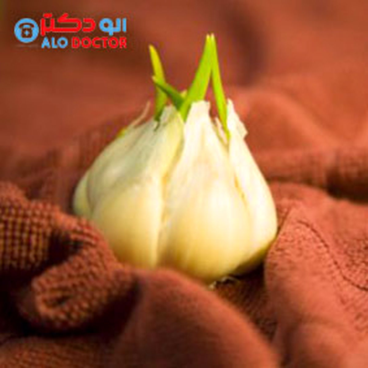 سیری که جوانه زده را دور نریزید