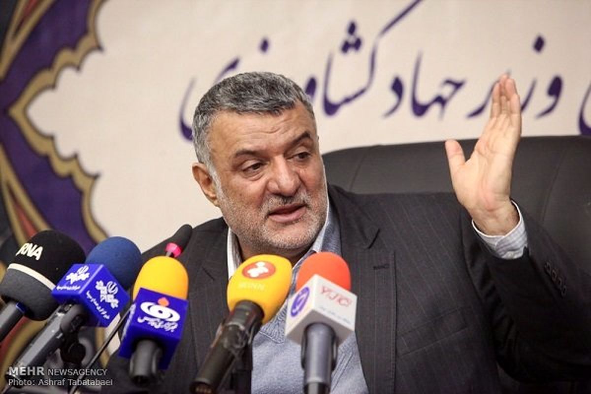 حجتی اعلام کرد: سهم بالای صنعت دام در تولید و ارزش افزوده