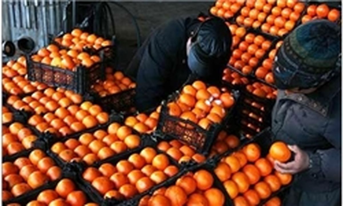 ذخیره‌سازی ۶۵ هزار تن سیب و پرتقال برای عید