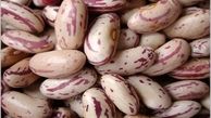 لوبیا چیتی های خارجی مهمان سفره ایرانی