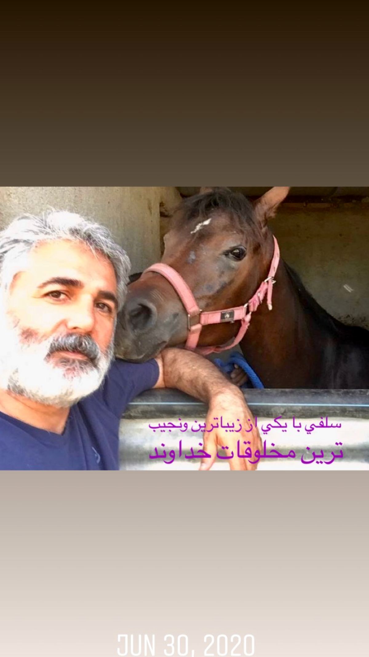 مهدی صبایی در کنار اسبی زیبا + عکی