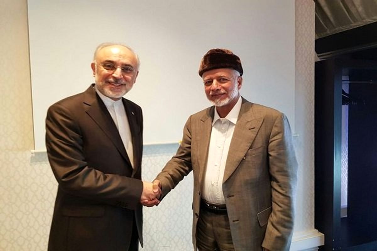 صالحی با وزیر خارجه عمان در خصوص برجام دیدار کرد