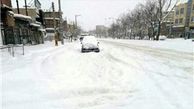  سرما به 16 هزار هکتار از باغات استان تهران خسارت زد