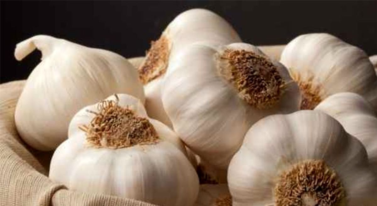 معجزه خوردن یک حبه سیر!