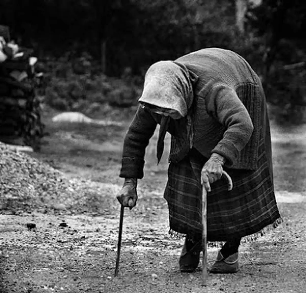مزایای یک قرن زندگی