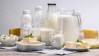 خبر مهم از افزایش قیمت لبنیات