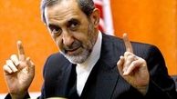 حتی ترکمانچای هم نسخه فارسی داشت ولی برجام نداشت