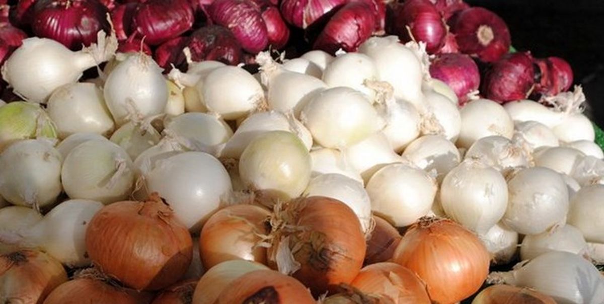 ممنوعیت صادرات سیب زمینی و پیاز از ۱۵ فروردین