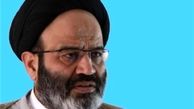 مستقل در انتخابات حضور پیدا کردم