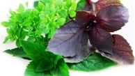 تقویت کننده‌های معده از دیدگاه طب سنتی