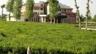 پیگیری اسامی متخلفان زمین‌خواري چه شد؟/ تبعات بحران تغییر کاربری زمین‌های حاصل‌خیز ایران