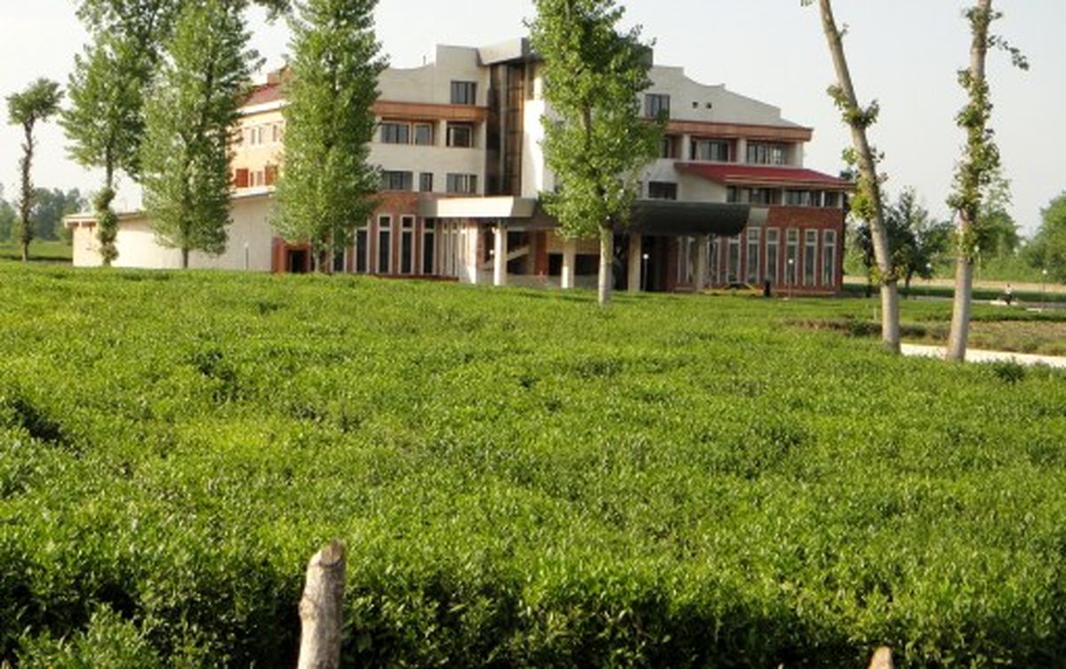 پیگیری اسامی متخلفان زمین‌خواري چه شد؟/ تبعات بحران تغییر کاربری زمین‌های حاصل‌خیز ایران