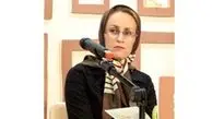 یک نویسنده:‌ داستانی در زمینه تعرض به کودکان نداریم