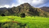 اکو مجموعه‌ای با ارزش از نظر منابع طبیعی و نیروی انسانی است