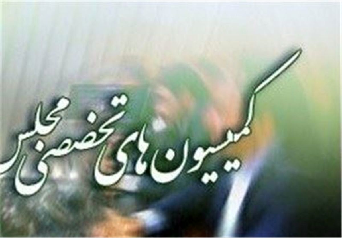 لیست نهایی کمیسیون‌های صنایع و اصل ۹۰ مجلس + اسامی
