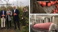 سرمایه گذاری سوئیس روی انار ایران! 